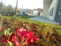/album/centro-escolar-de-alcobertas/imagem406-jpg/