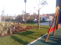 /album/centro-escolar-de-alcobertas/imagem405-jpg/