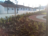 /album/centro-escolar-de-alcobertas/imagem417-jpg/