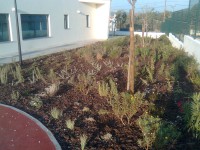 /album/centro-escolar-de-alcobertas/imagem419-jpg/